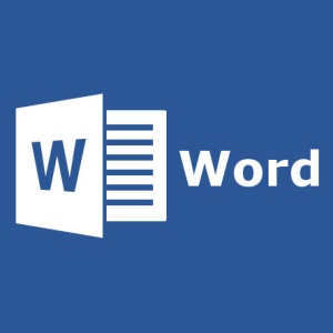 Microsoft Word Vulnerability